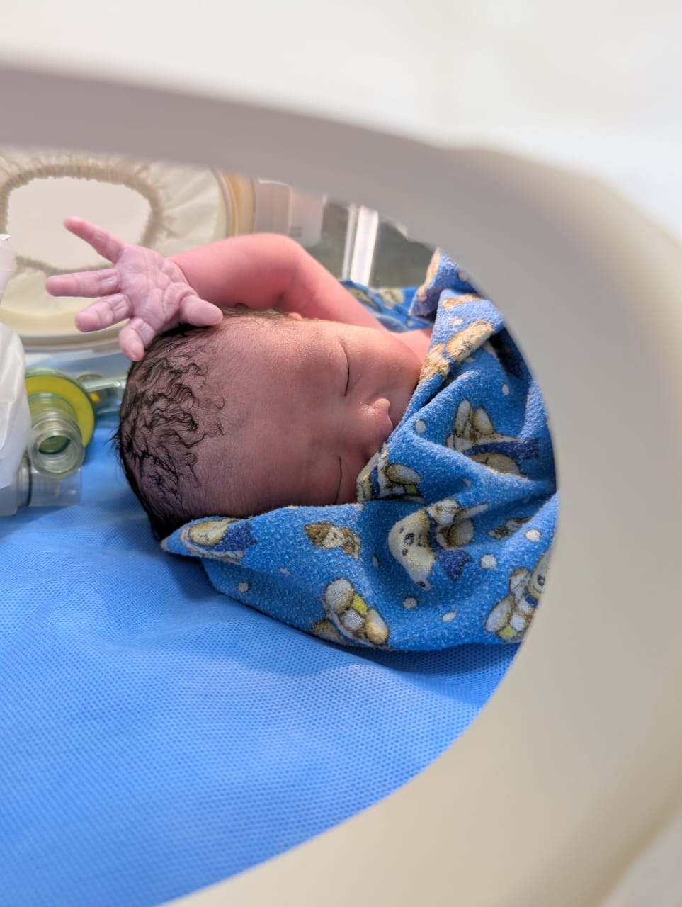 Lando with hand raised